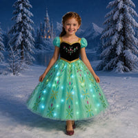 Robe reine des neiges