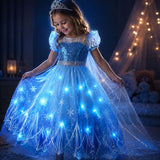 Robe Elsa reine des neiges
