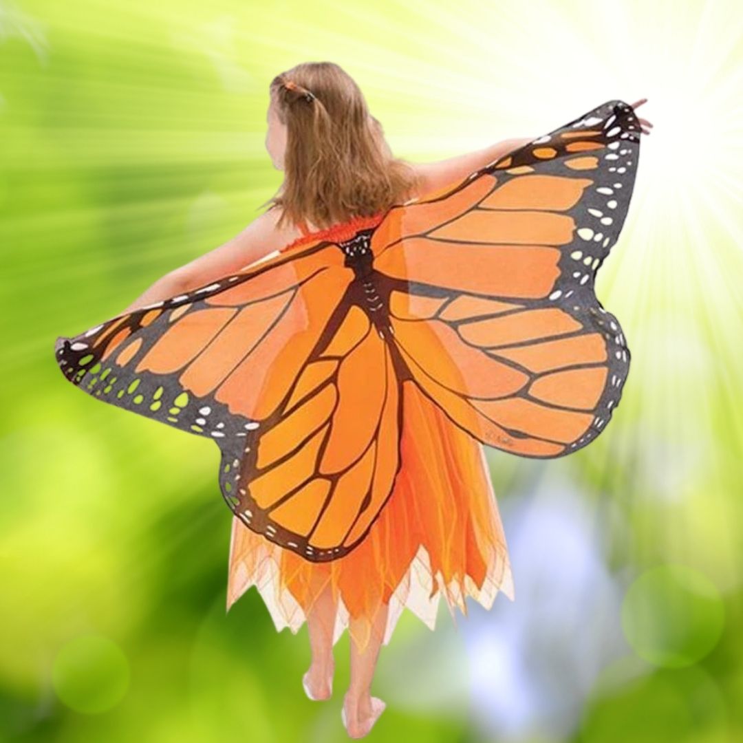 Deguisement Papillon Fille, Ailes Papillon Enfant, Costume